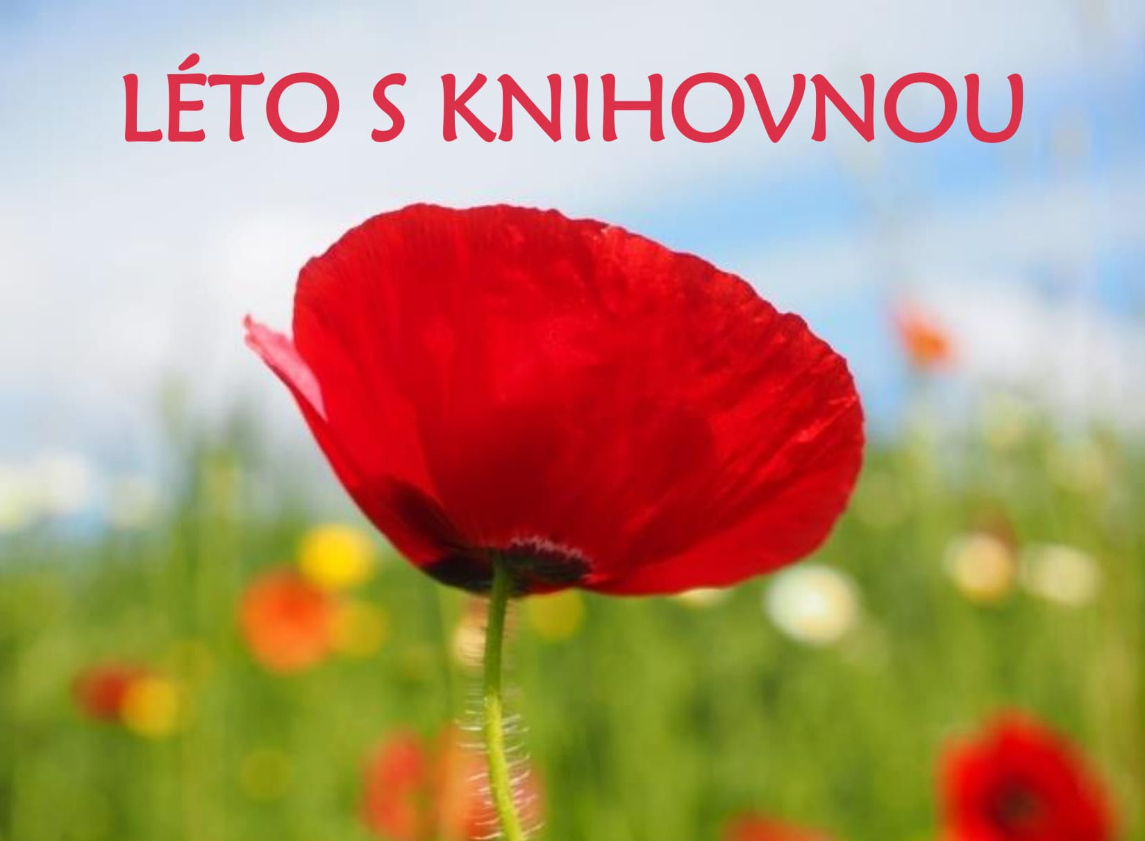 Léto s knihovnou