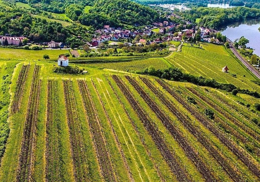 Život ve stínu hor viničních